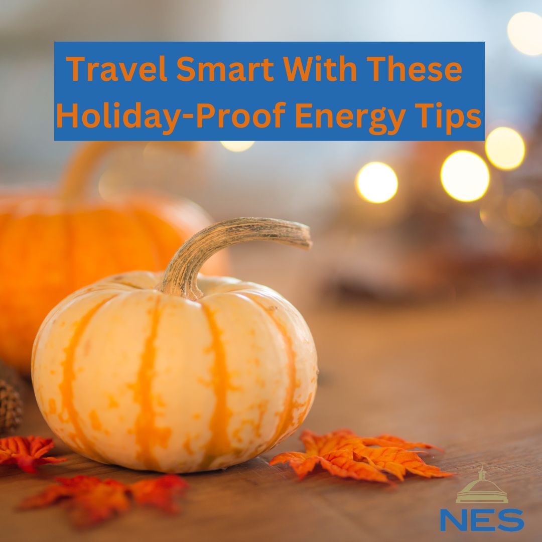 https://nespowernews.com/wp-content/uploads/sites/5/2023/11/Travel-Smart-With-These-Holiday-Proof-Energy-Tips.jpg